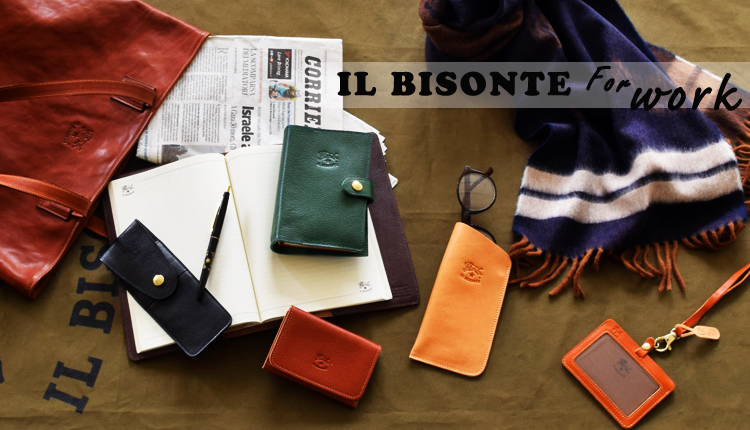 ILBISONTE for work